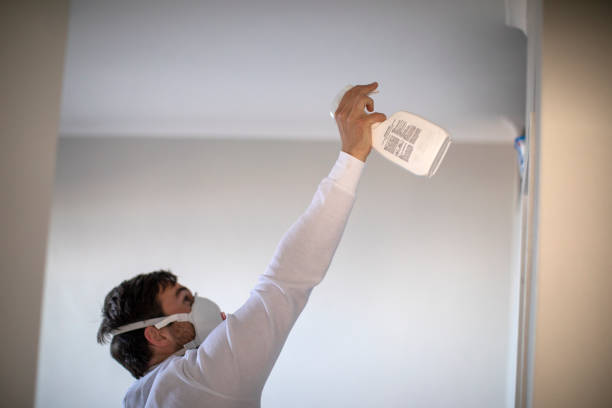 Trusted Coloma, MI Mold Removal Experts