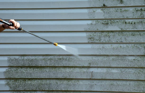 Best Mold Cleaning Services  in Coloma, MI